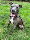 Jada - Photo 8