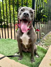 Jada - Photo 4