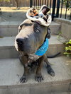 Boris - Photo 7