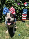Clarabelle - Photo 11