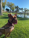 Gryffin - Photo 3