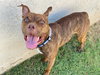Gryffin - Photo 4