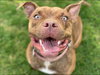 Gryffin - Photo 5