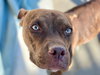 Gryffin - Photo 6