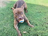 Gryffin - Photo 8