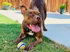 Gryffin - Photo 9