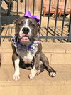 Tatum - Photo 5