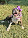 Tatum - Photo 9