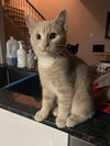 Casper