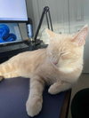 Casper