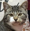 Toby - Photo 2