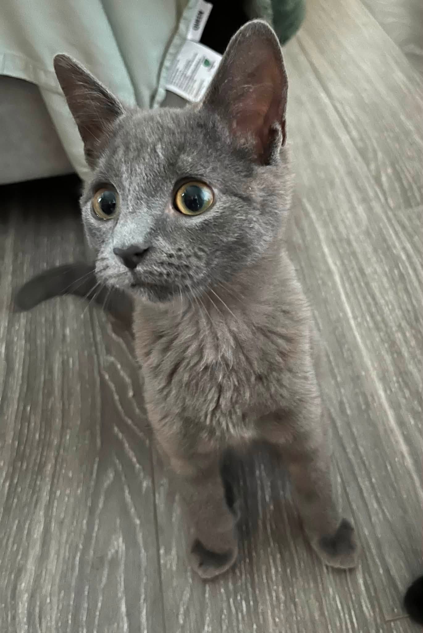 Gary