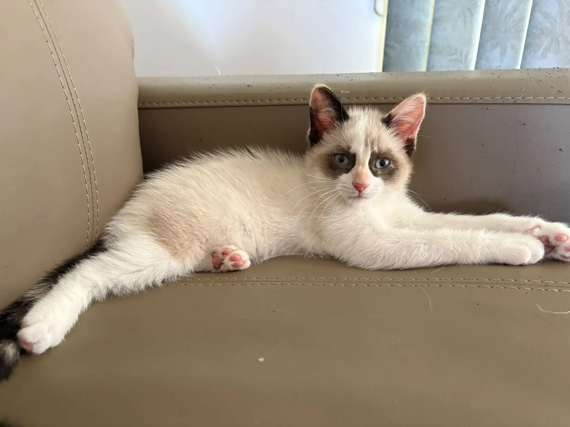 Casper image 2