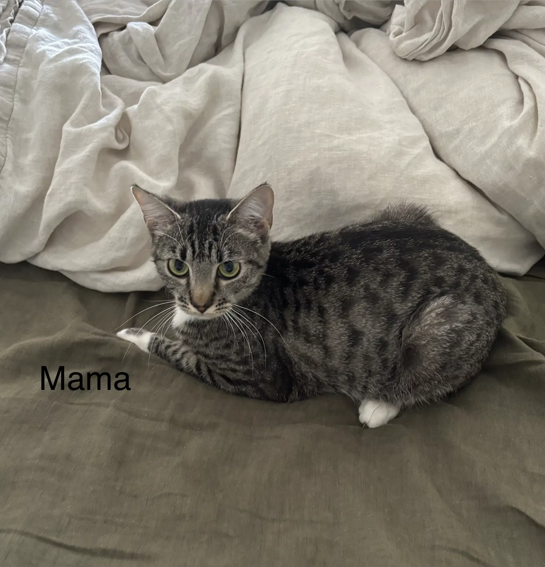 Mama image 2