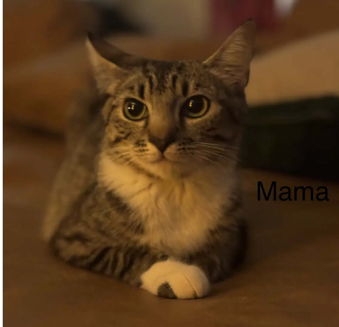 Mama image 3