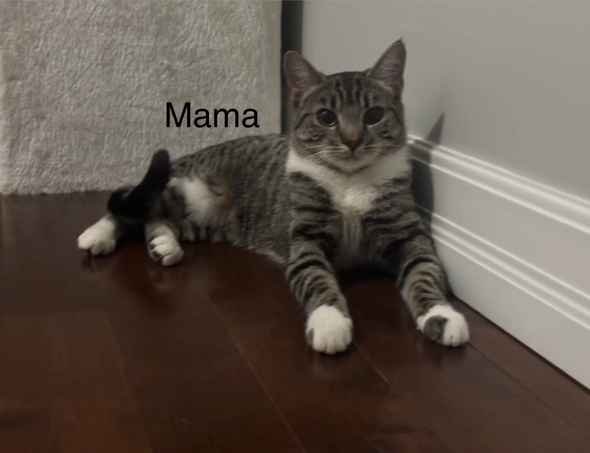 Mama image 4