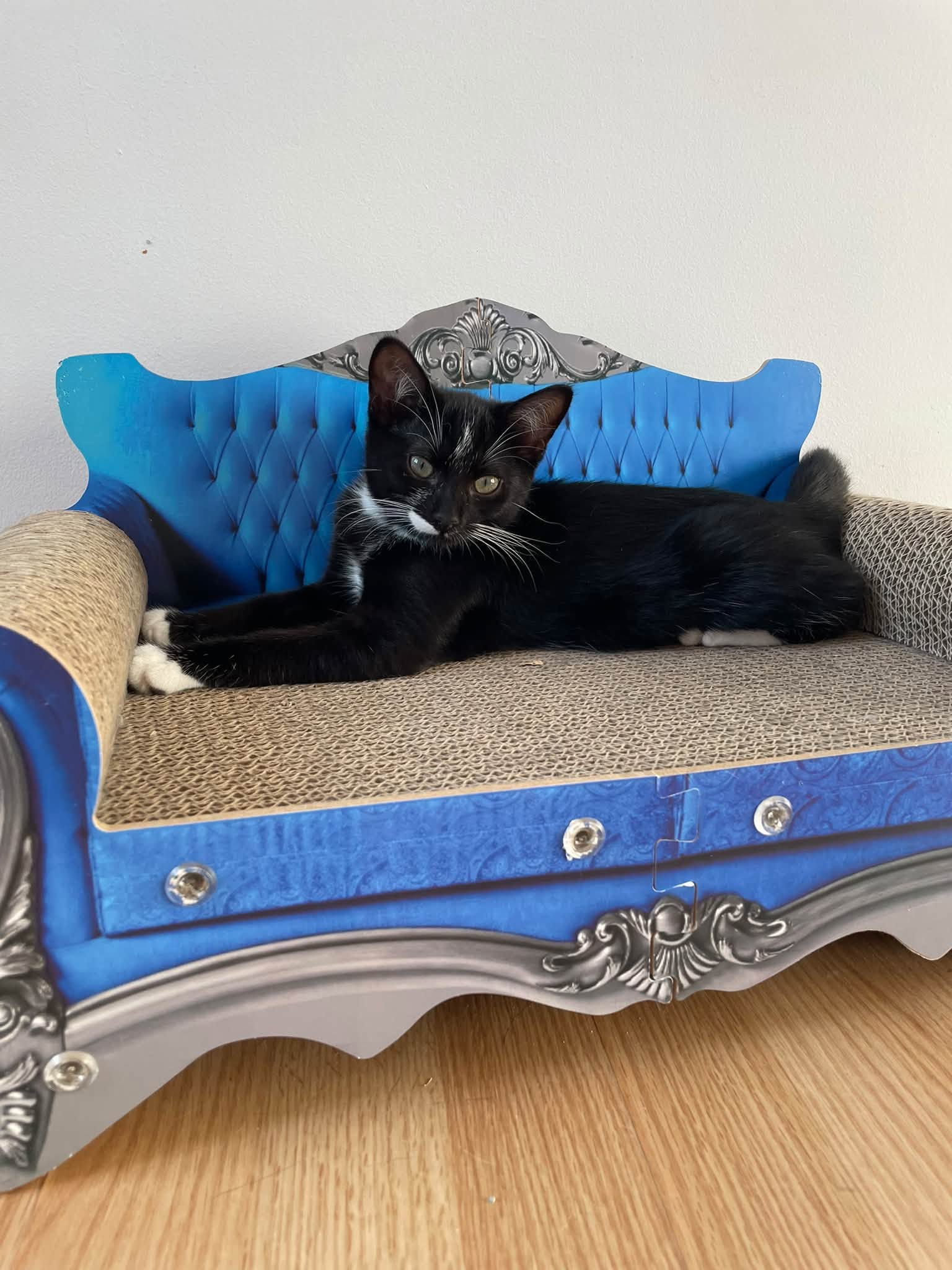 Gary