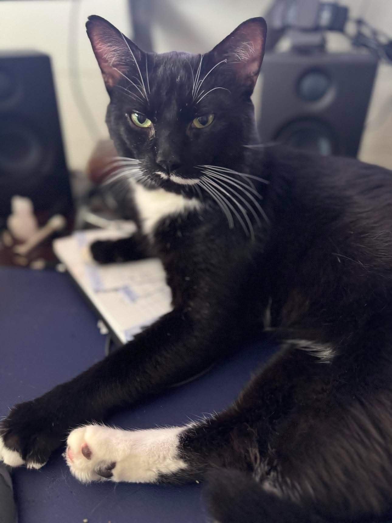 Tux