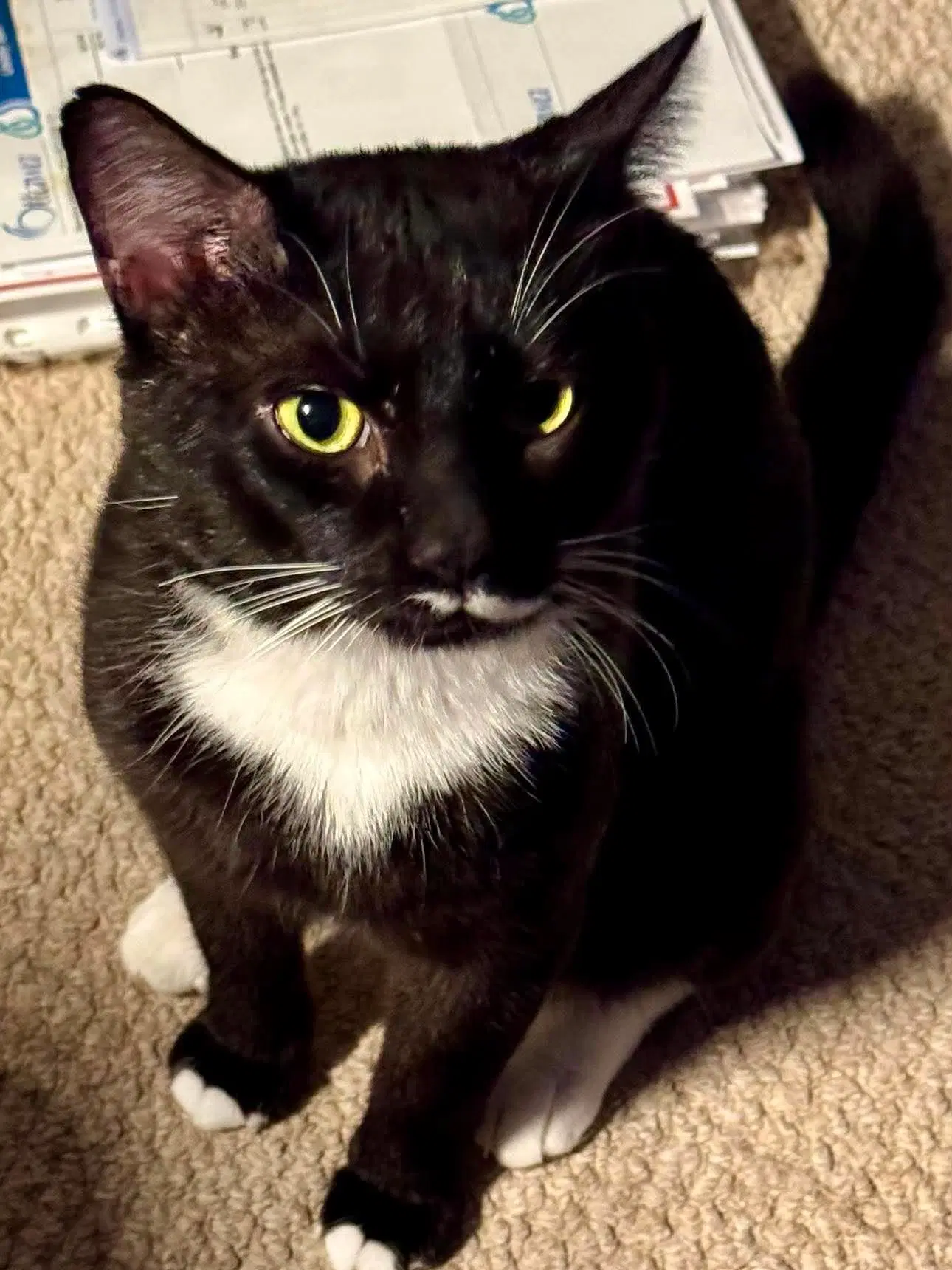 Tux image 2