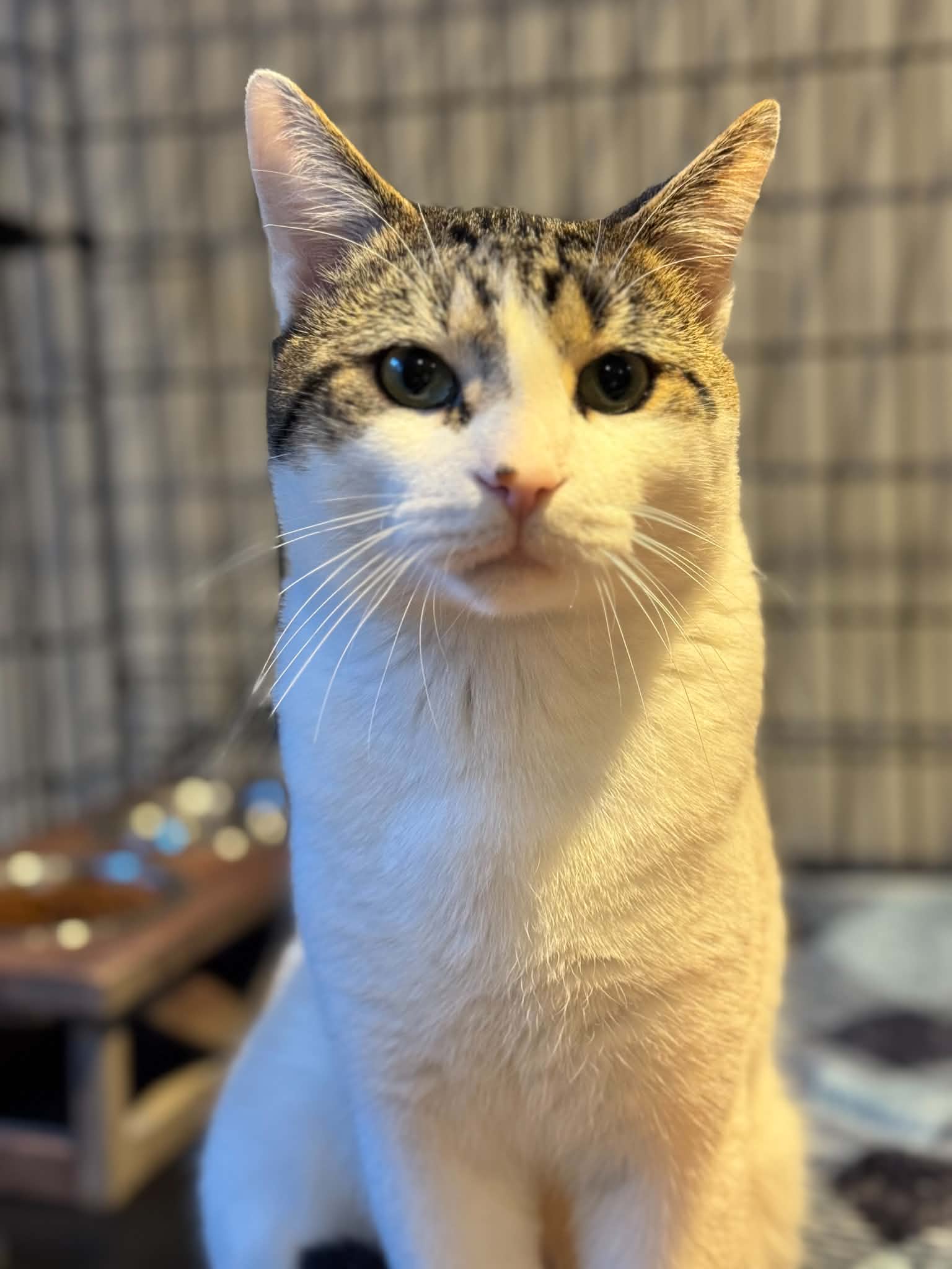 Milo