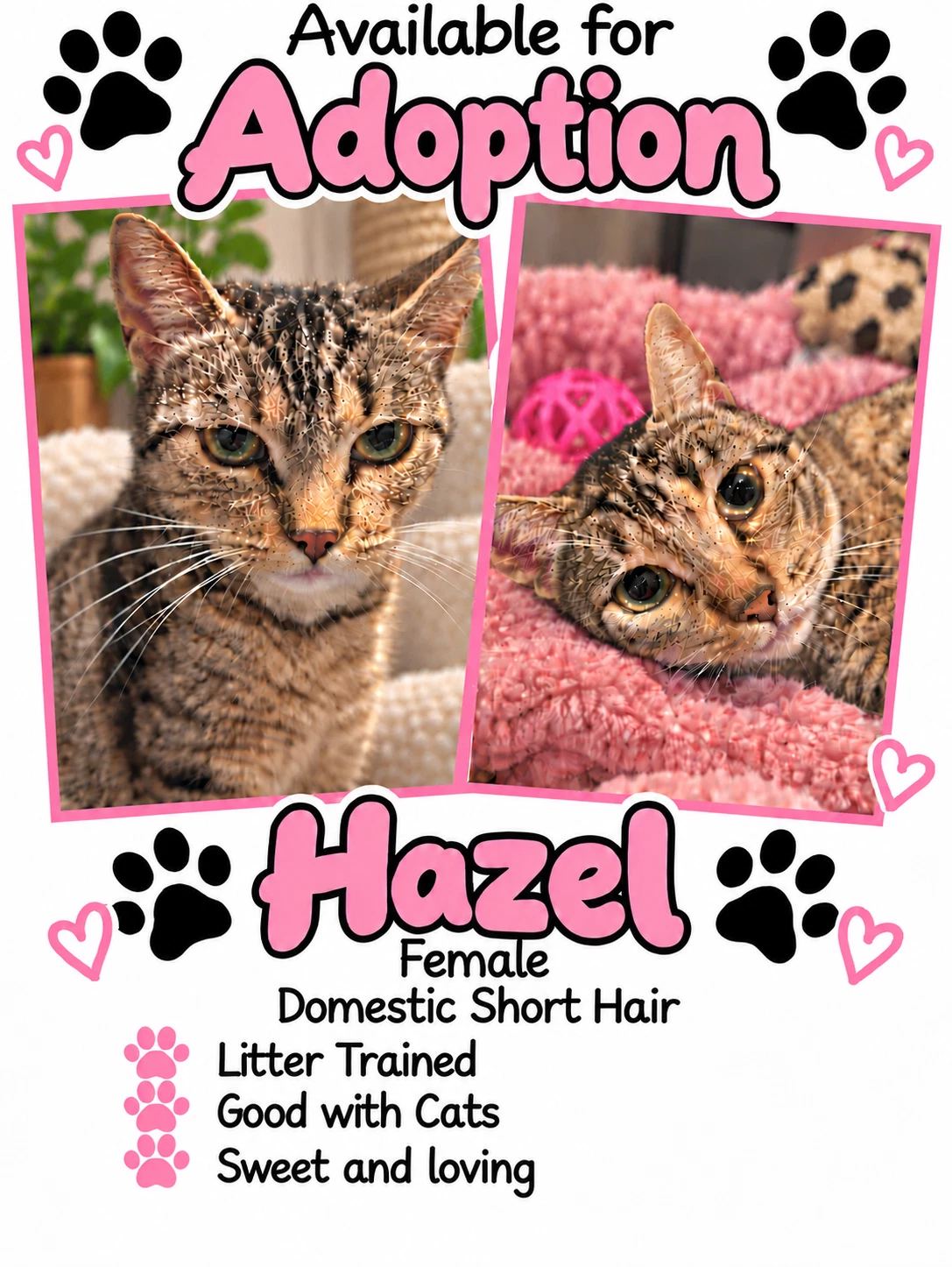 Hazel