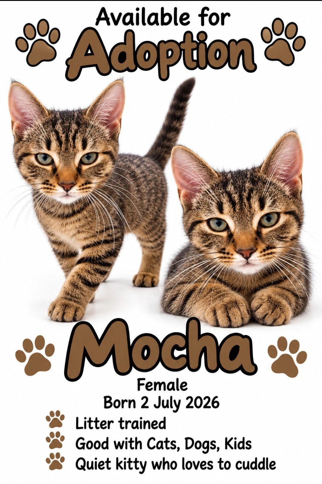 Mocha