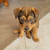 Molly 8 - Photo 3