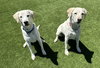 Max 8 - Photo 3