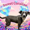 adoptable Dog in Bloomington, IL named CORALINE