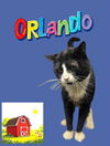 adoptable Cat in Bloomington, IL named ORLANDO
