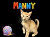 adoptable Cat in bloomington, IL named MANNY