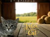 adoptable Cat in bloomington, IL named FELIX