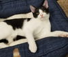 Marcel (sibling pair, brother Elijah)