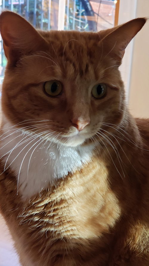 JimBob