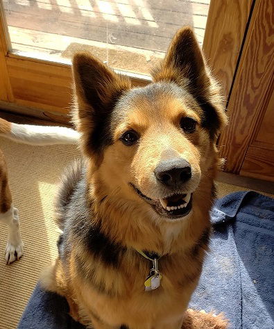 Brody