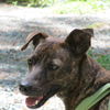 Nellie