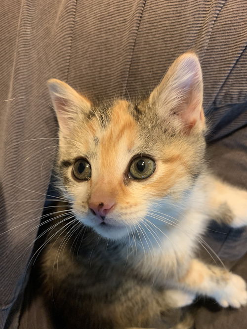 Etta Mae