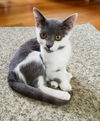 Oliver