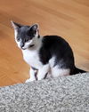 Oliver