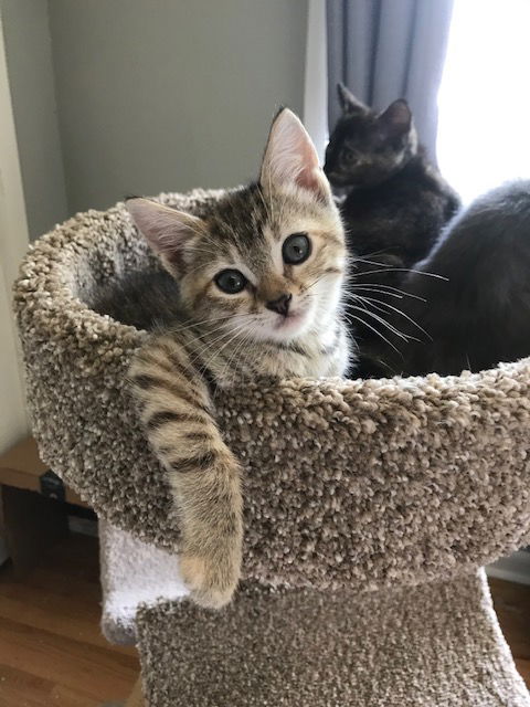 Rory