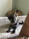 Mia