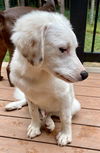 Charlie