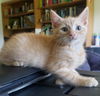 Charlie