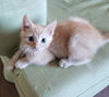 Charlie