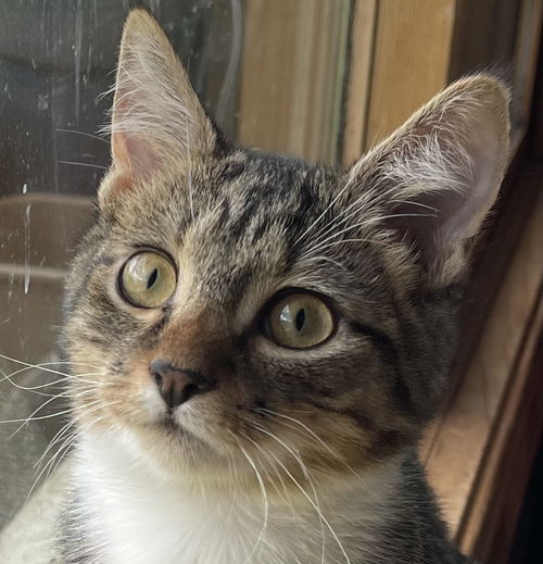 Max