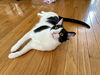 Mewnster