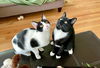 Mewnster