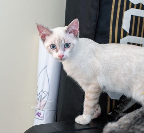 Oliver