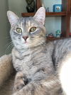 Pip