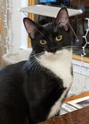 Oscar